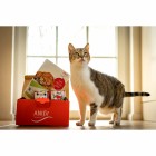 Cat Trial Package (Schnupperpaket Katzen) 400g (1 Pack with different flavours and samples)